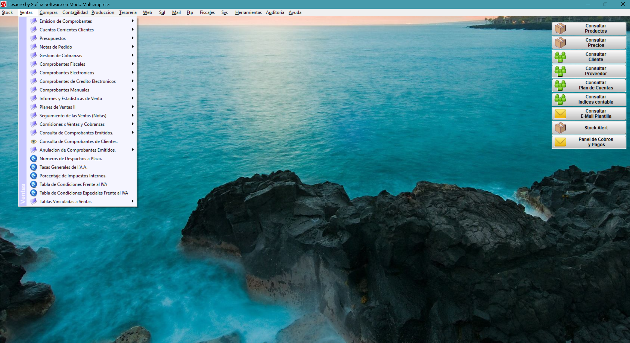 Tesauro Desktop - Módulo Facturación Electrónica AFIP